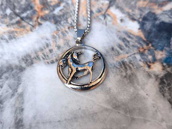 Unicorn-necklace1 گردنبند یونیکورن خاص استیل