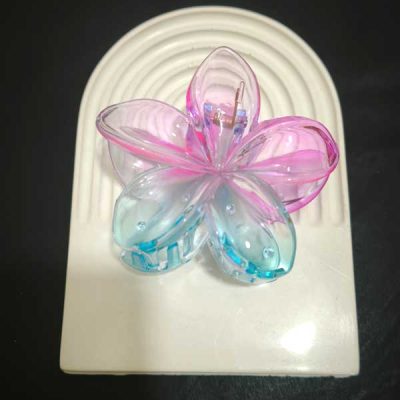 گیره مو جذاب