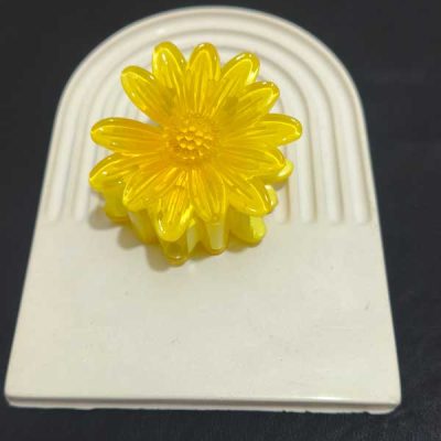 گیره سر گل هاوایی