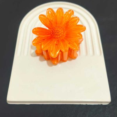 گیره جذاب دخترانه